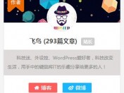  WordPress Sidebar Author Info Widget